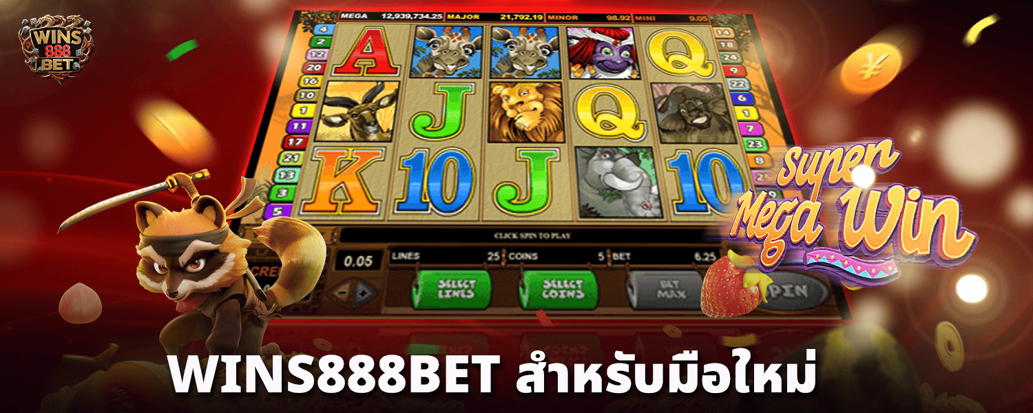 WINS888BET-สำหรับมือใหม่